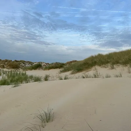 Bleu Blanc Dunes 10 Mn Berck Le Touquet